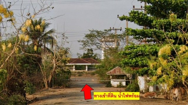 รูปภาพสินค้า