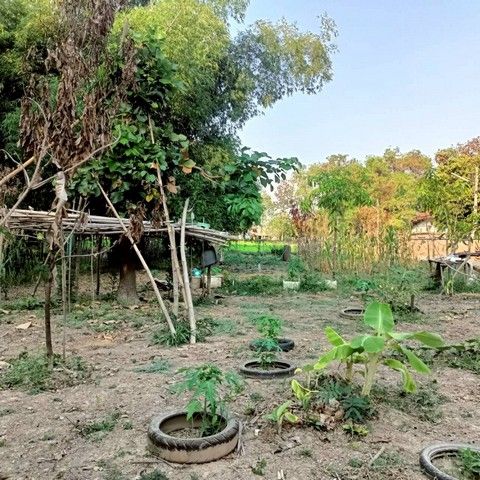 รูปภาพสินค้า