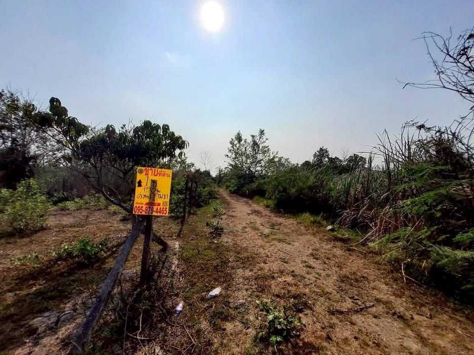 รูปภาพสินค้า