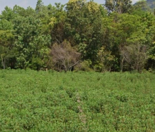 รูปภาพสินค้า