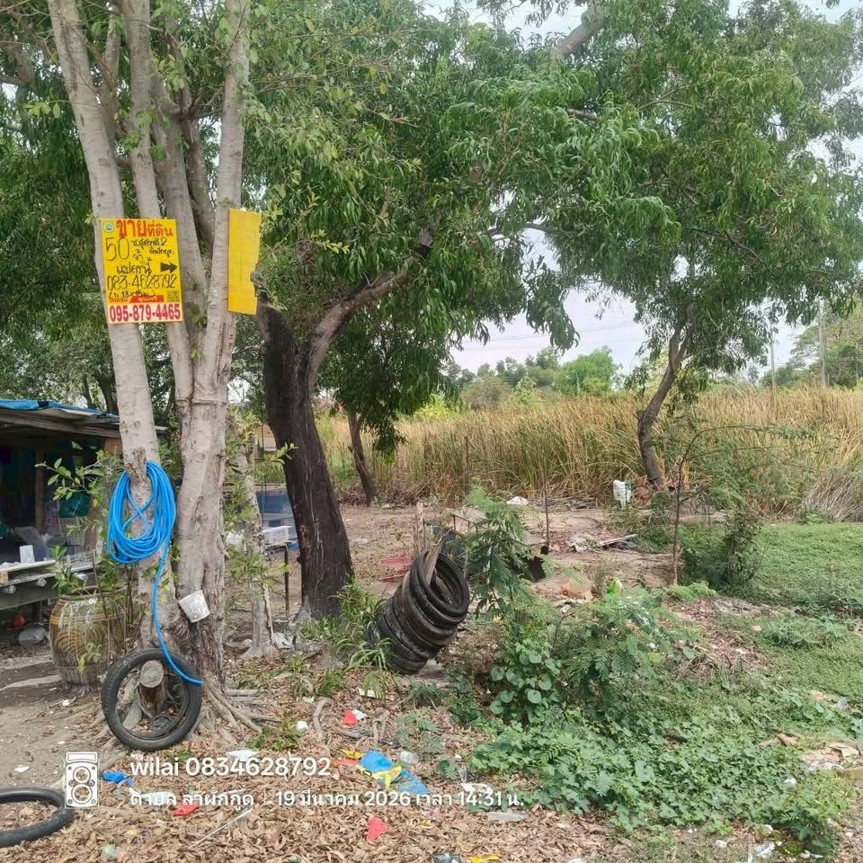 รูปภาพสินค้า