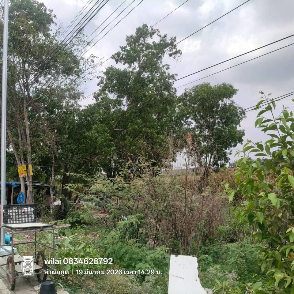 รูปภาพสินค้า