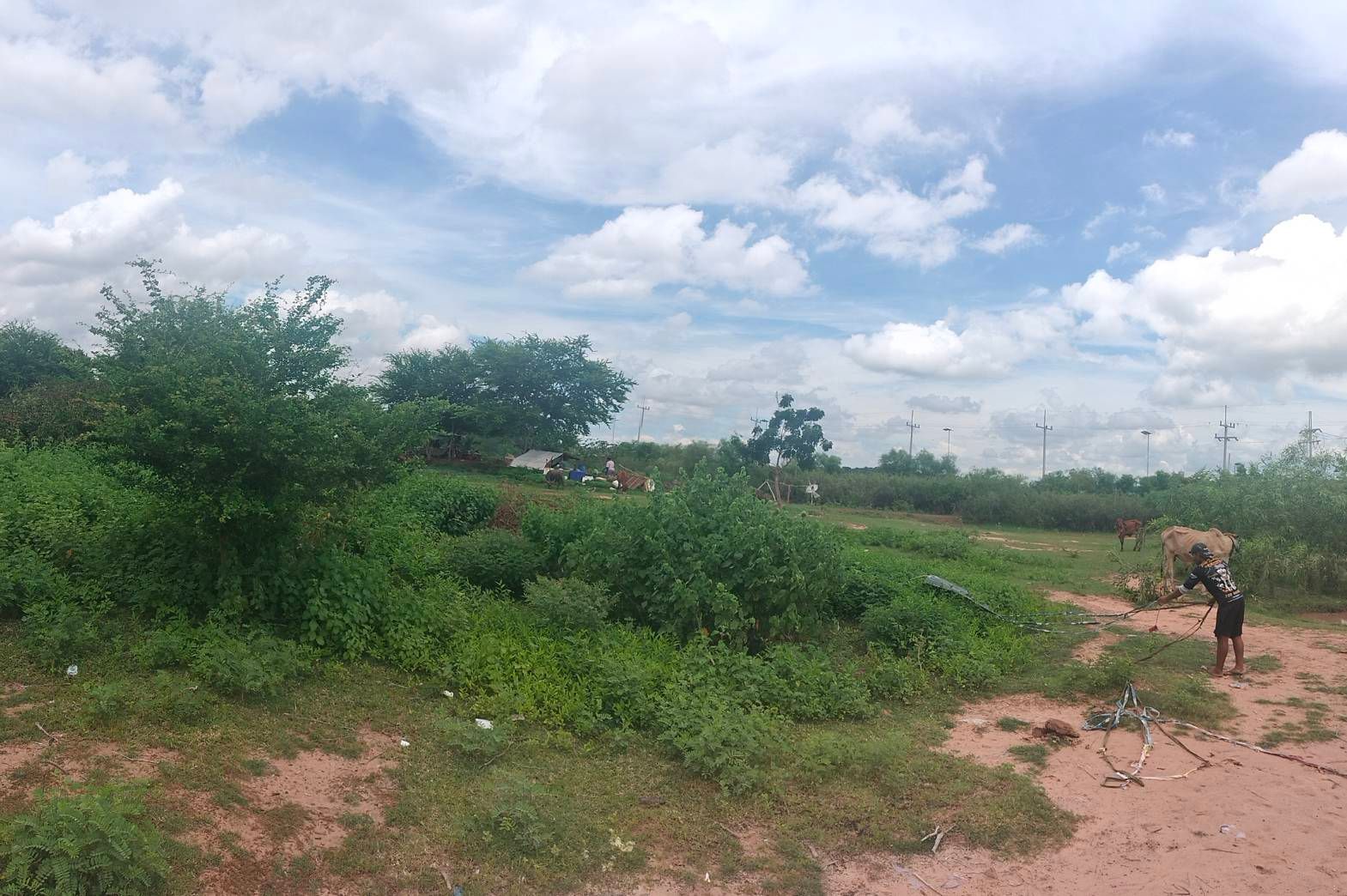 รูปภาพสินค้า