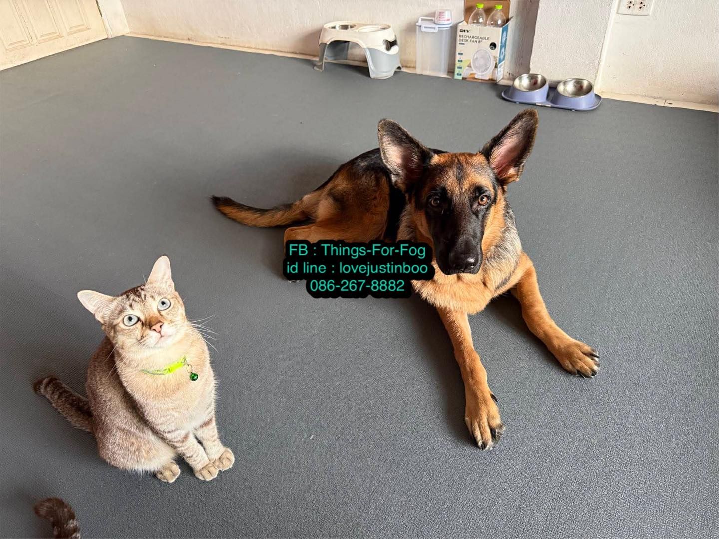 รูปภาพสินค้า