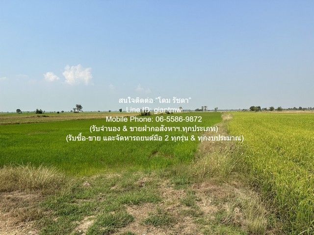 รูปภาพสินค้า