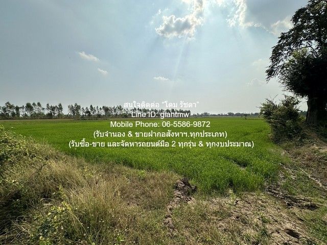 รูปภาพสินค้า