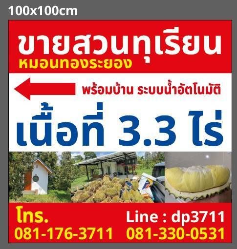 รูปภาพสินค้า