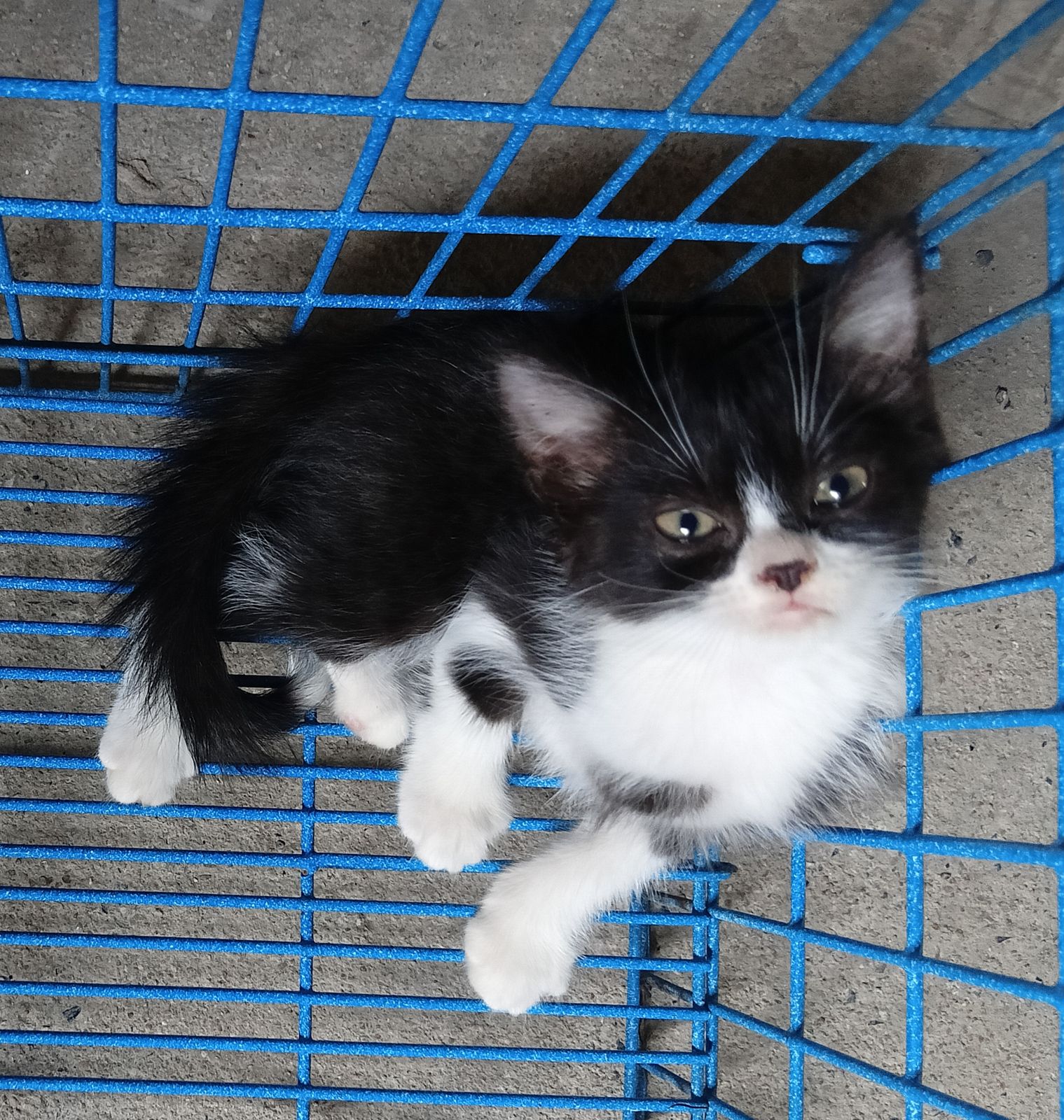 รูปภาพสินค้า