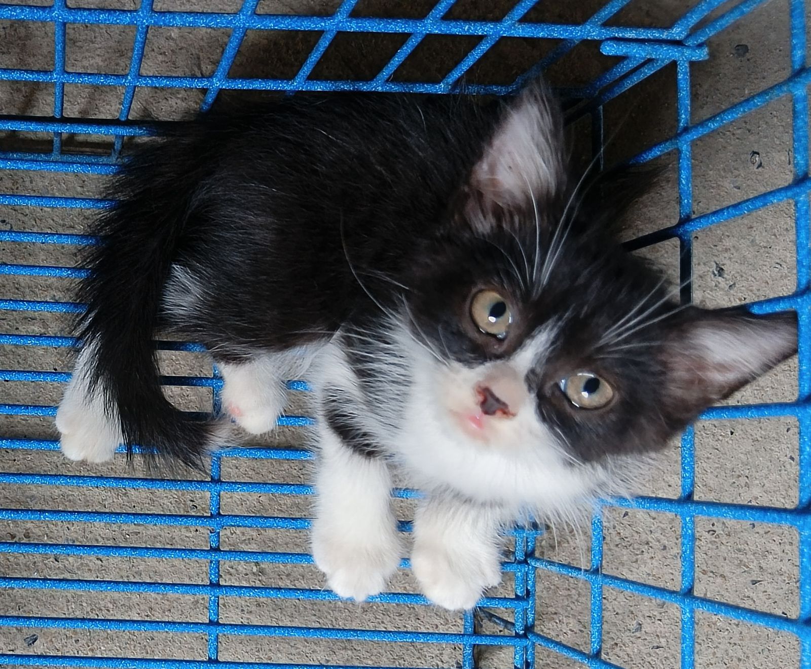 รูปภาพสินค้า