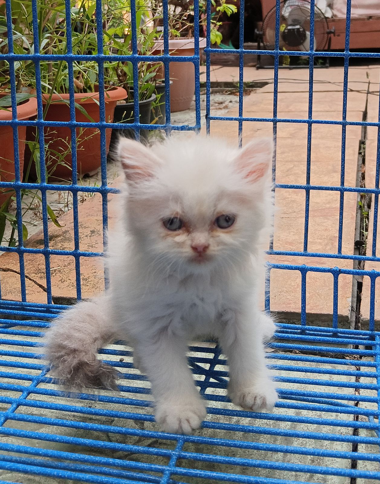 รูปภาพสินค้า