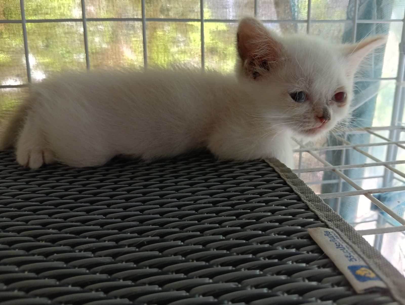 รูปภาพสินค้า