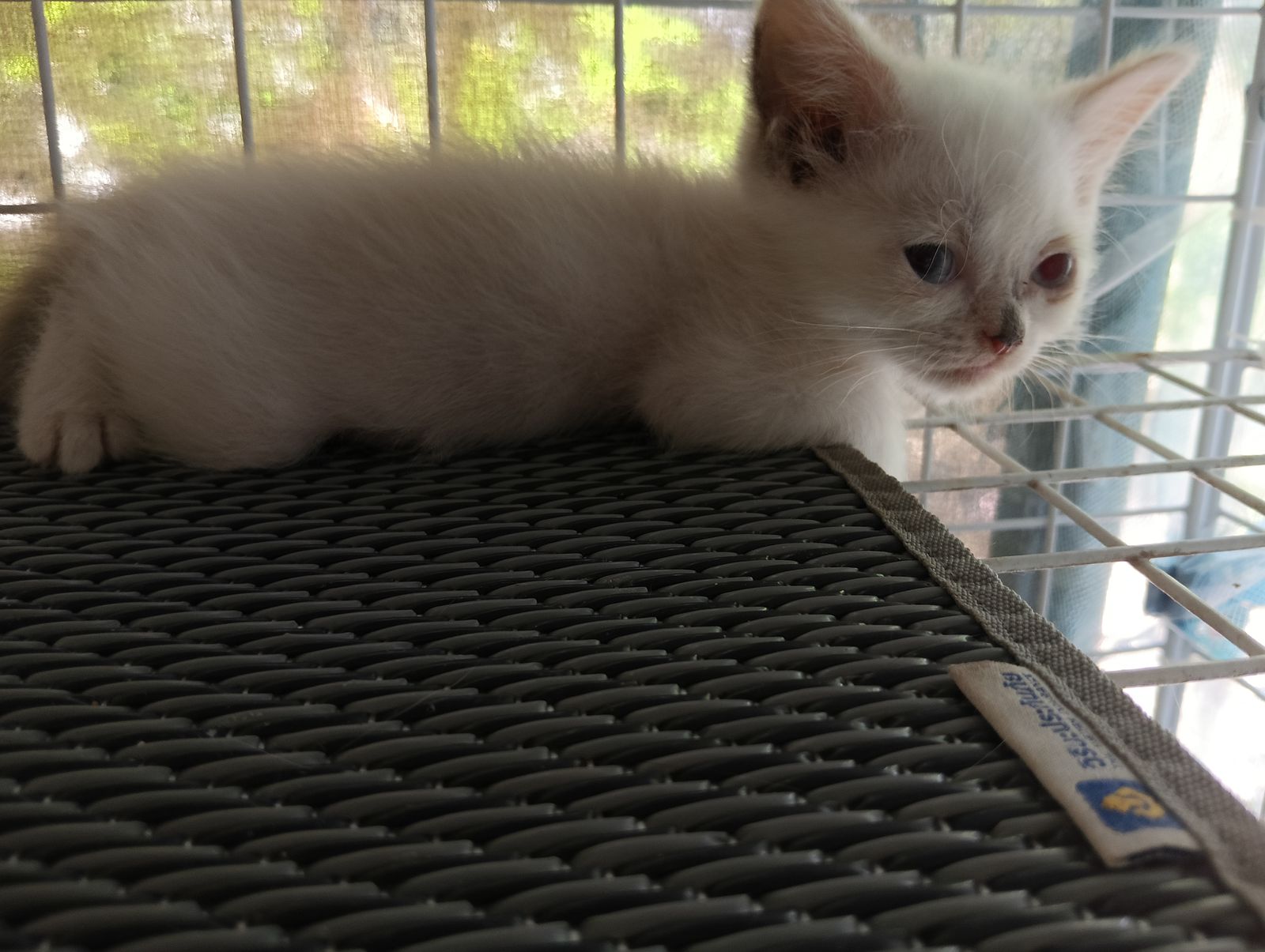 รูปภาพสินค้า