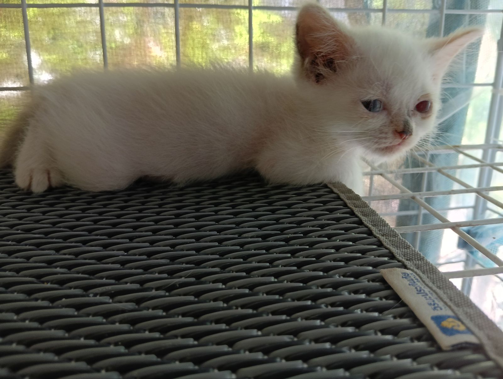 รูปภาพสินค้า