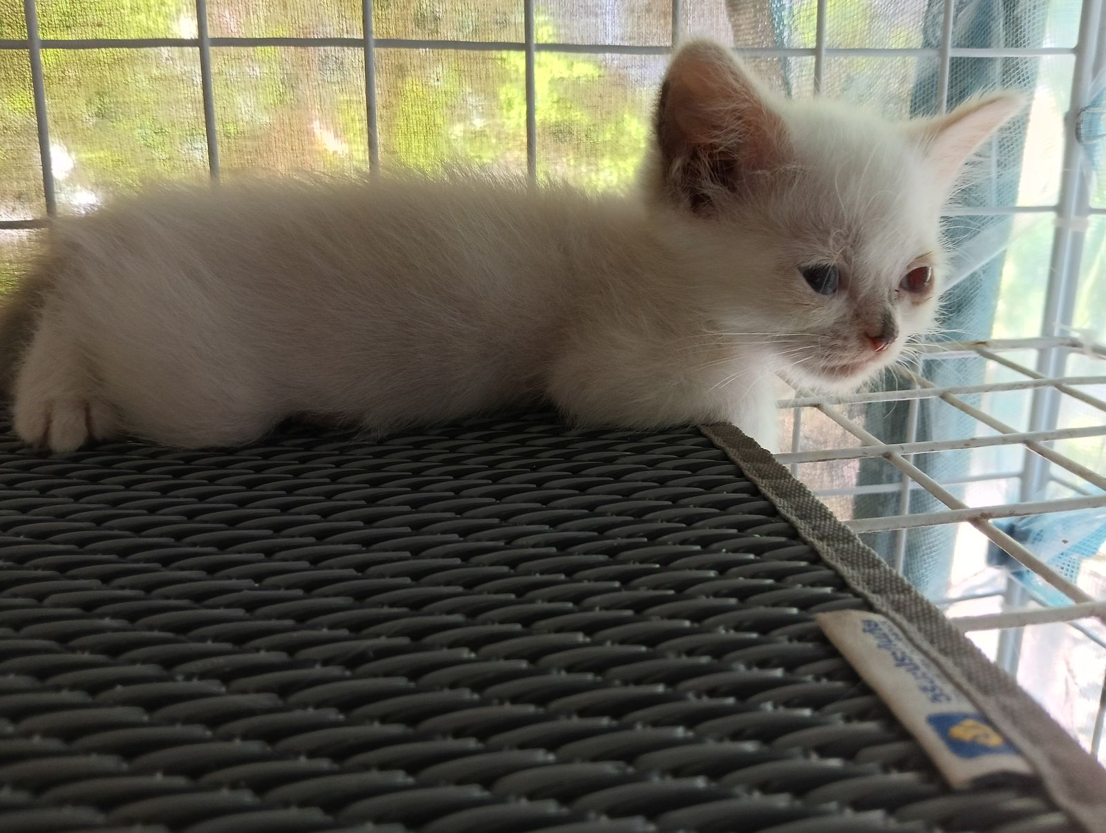 รูปภาพสินค้า