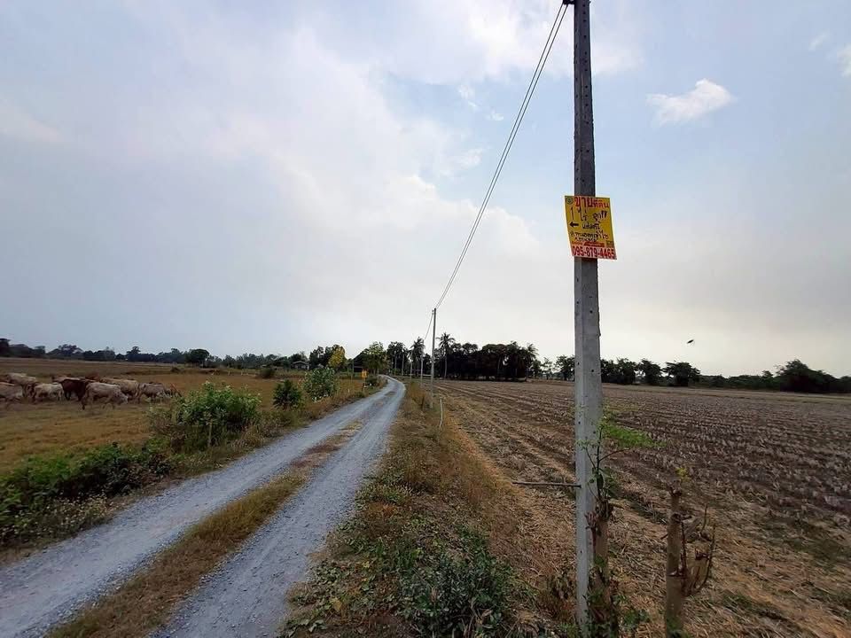 รูปภาพสินค้า