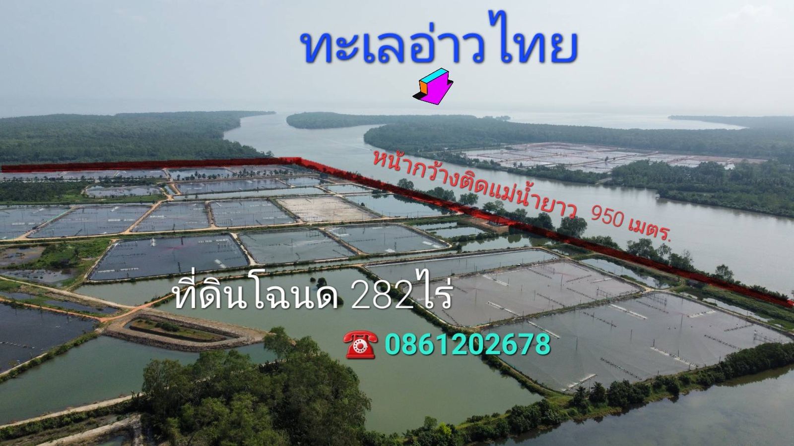 รูปภาพสินค้า