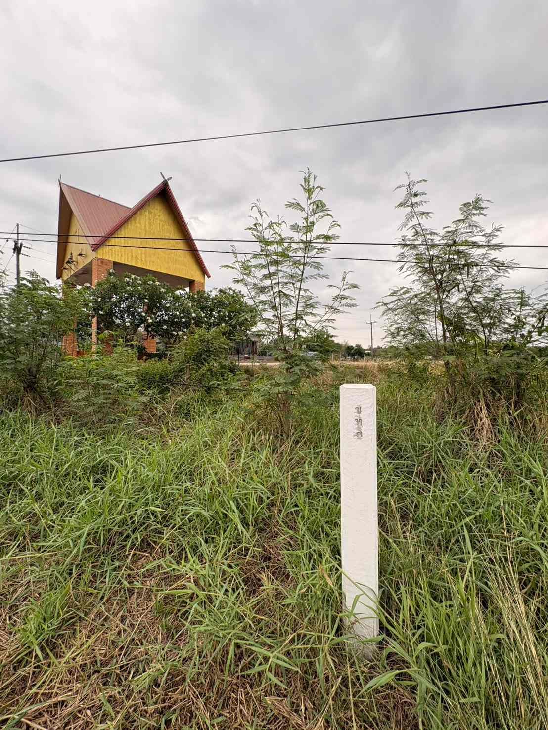 รูปภาพสินค้า