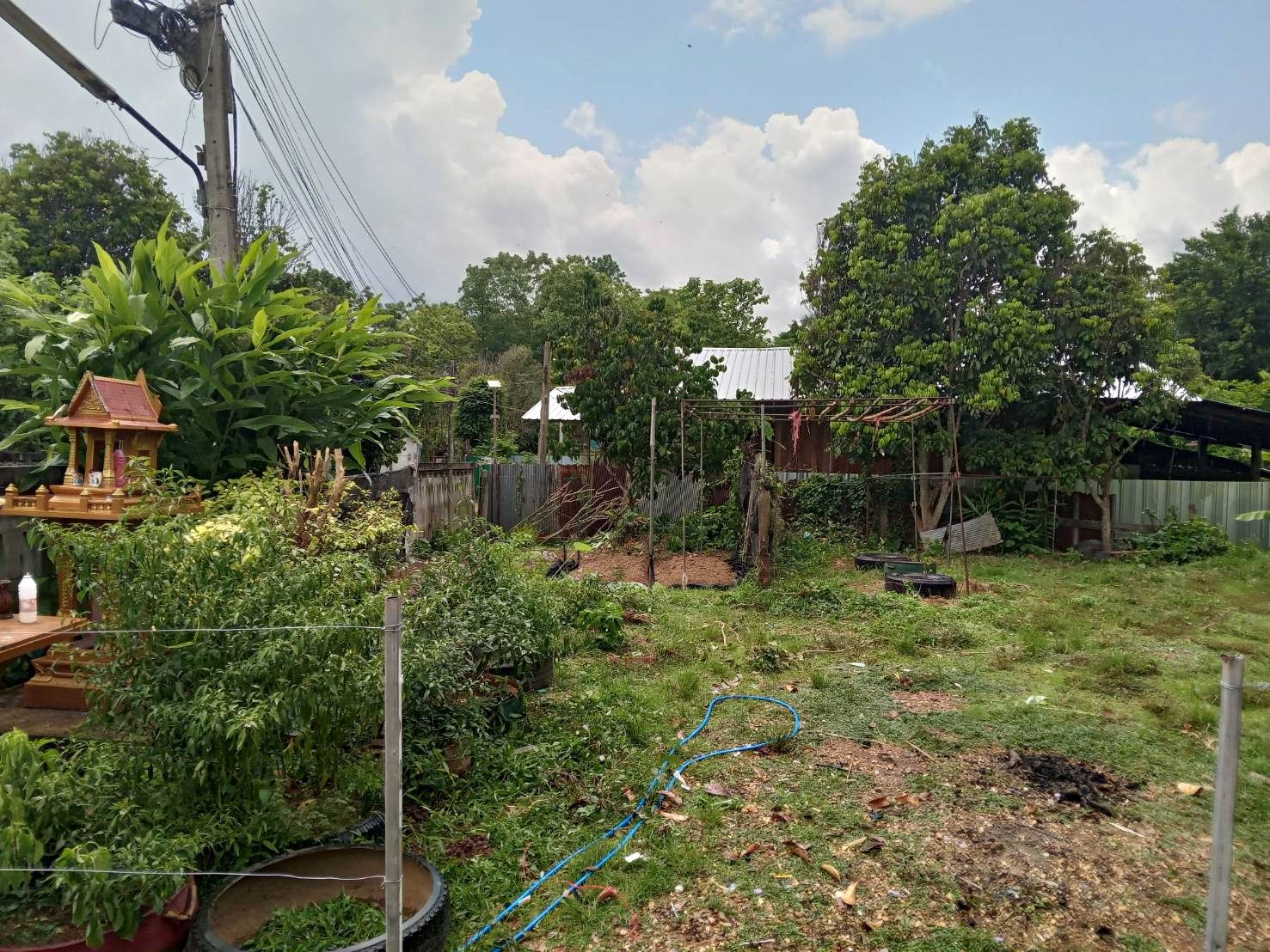 รูปภาพสินค้า