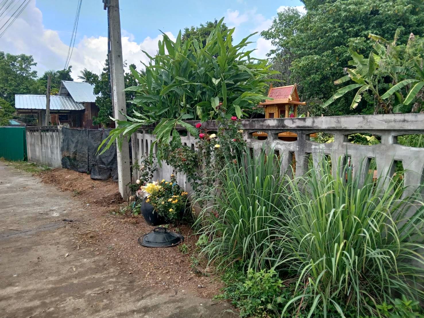รูปภาพสินค้า