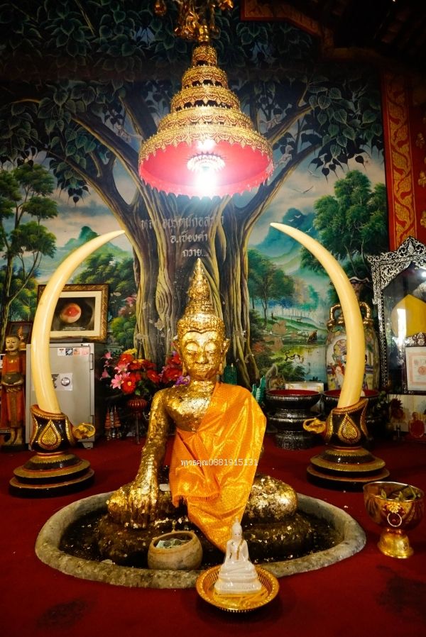 รูปภาพสินค้า