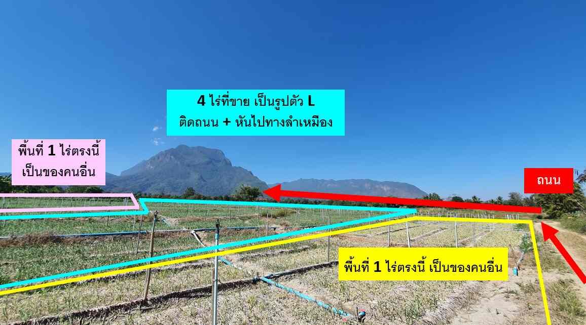 รูปภาพสินค้า