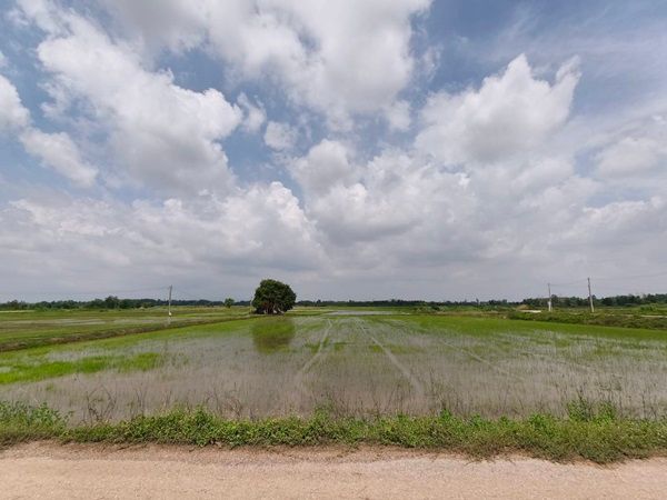 รูปภาพสินค้า