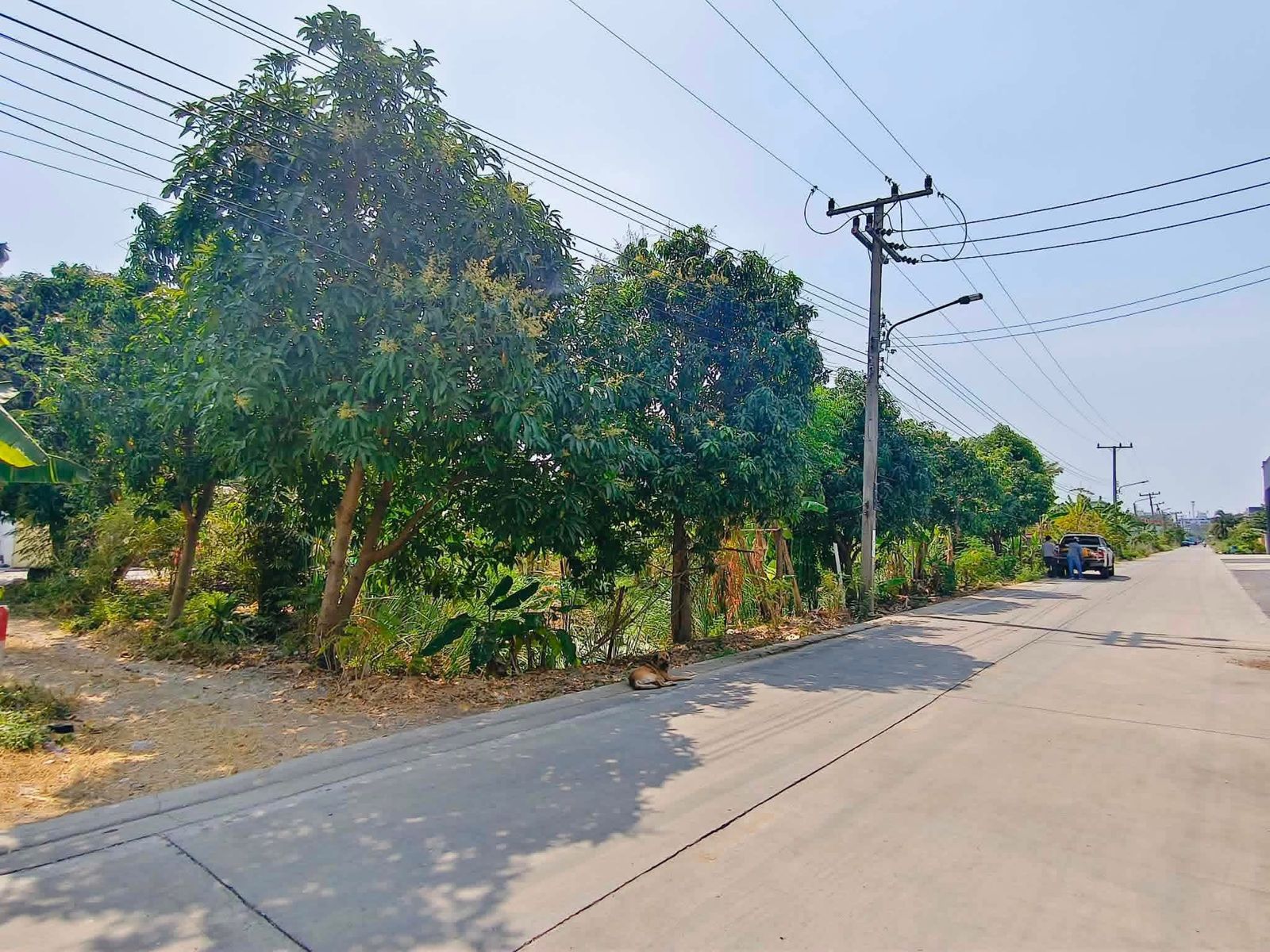 รูปภาพสินค้า
