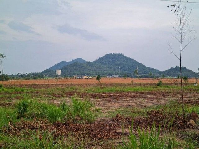 รูปภาพสินค้า