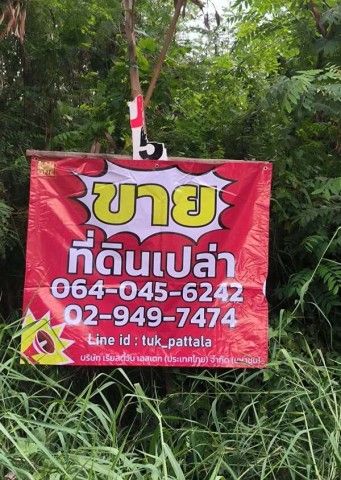 รูปภาพสินค้า