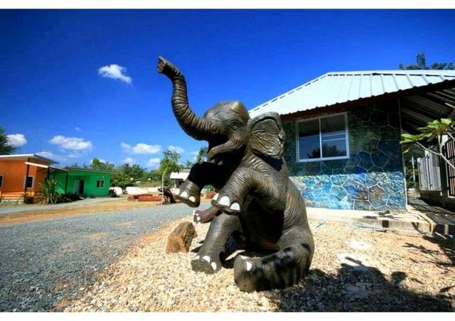 รูปภาพสินค้า