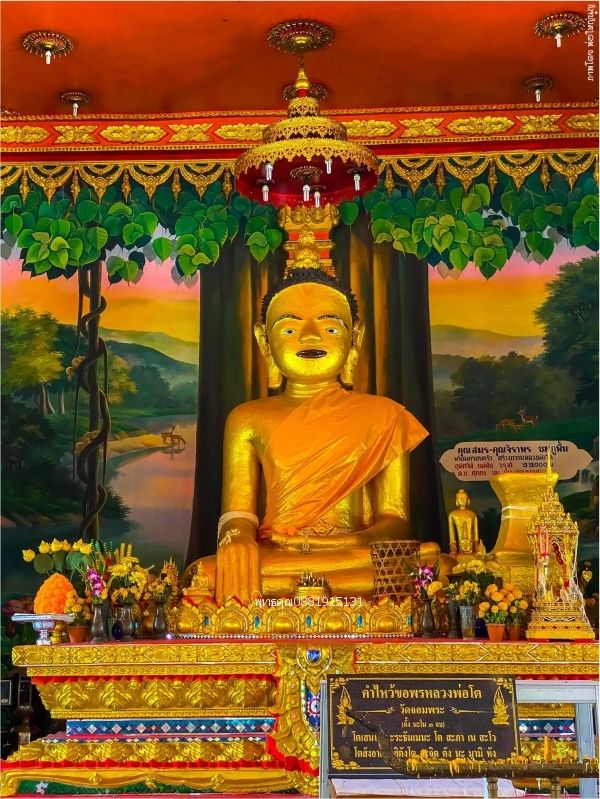 รูปภาพสินค้า