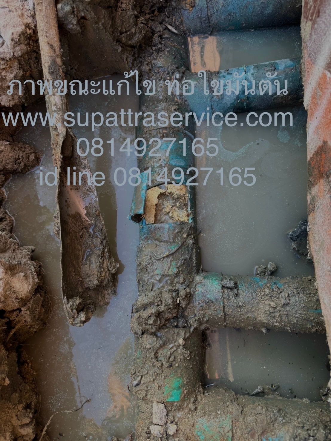 รูปภาพสินค้า