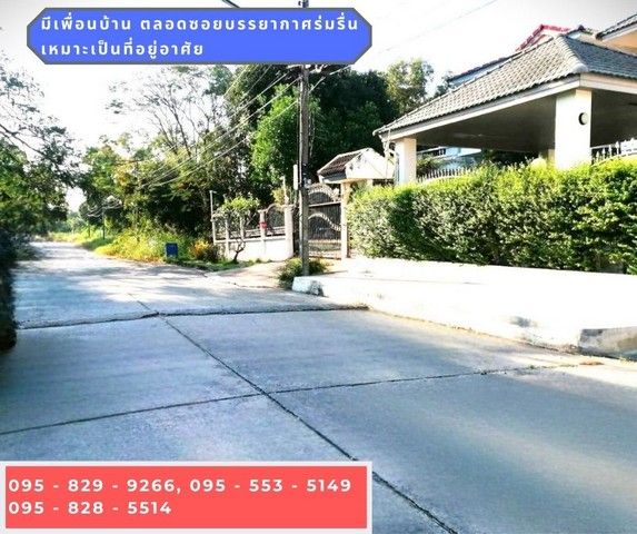 รูปภาพสินค้า