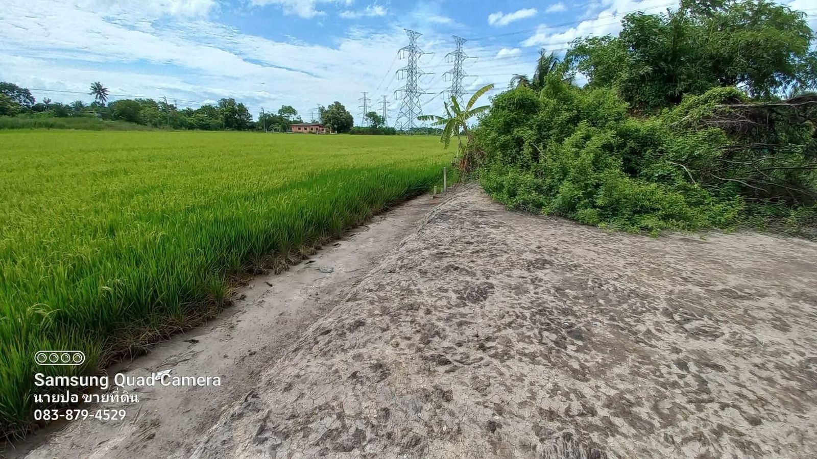 รูปภาพสินค้า