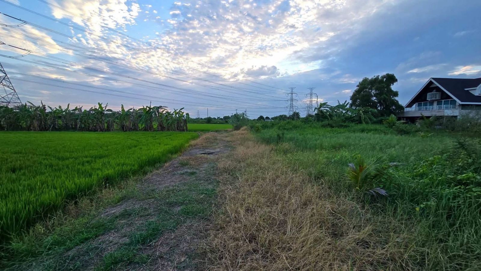 รูปภาพสินค้า