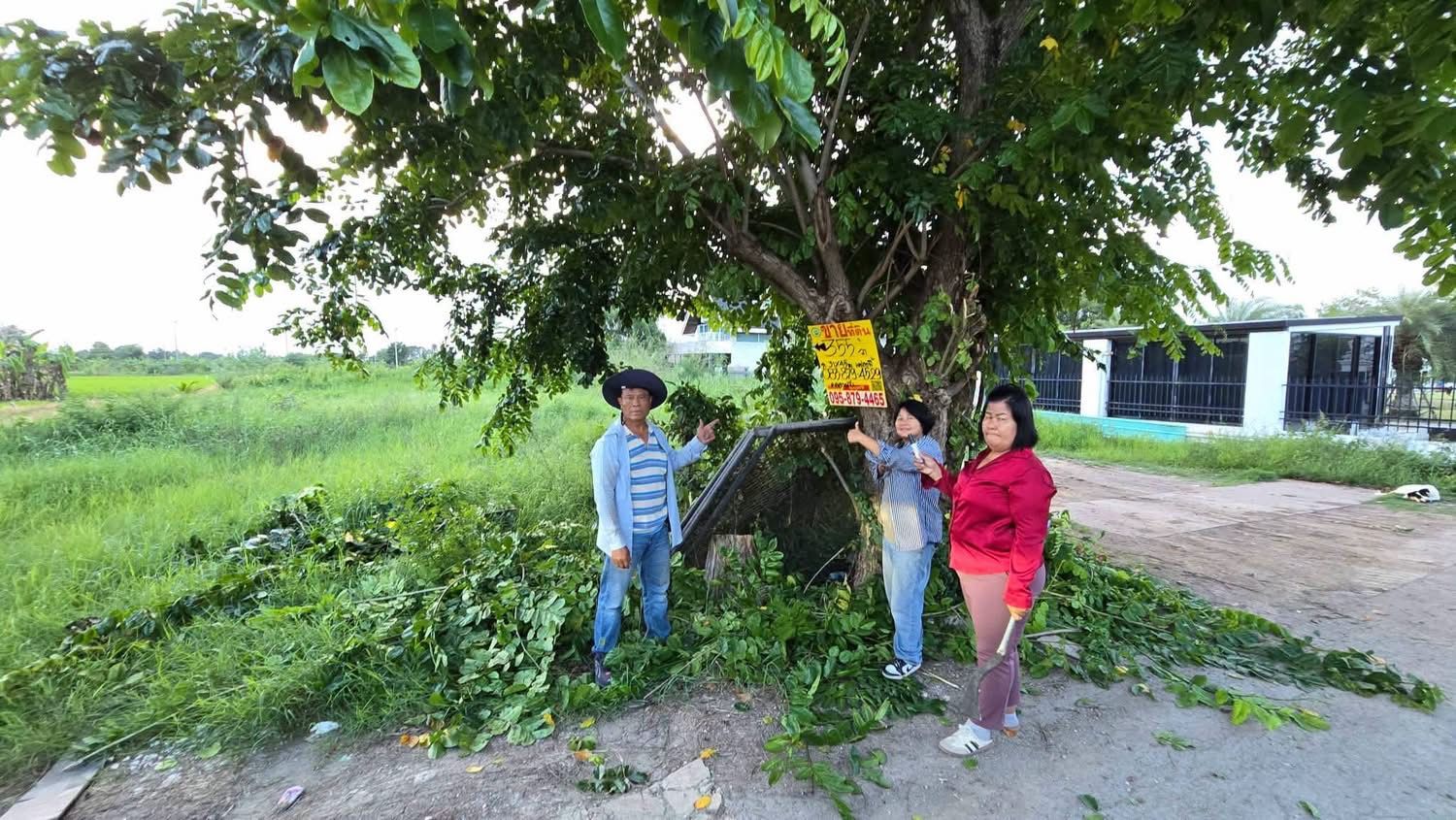 รูปภาพสินค้า