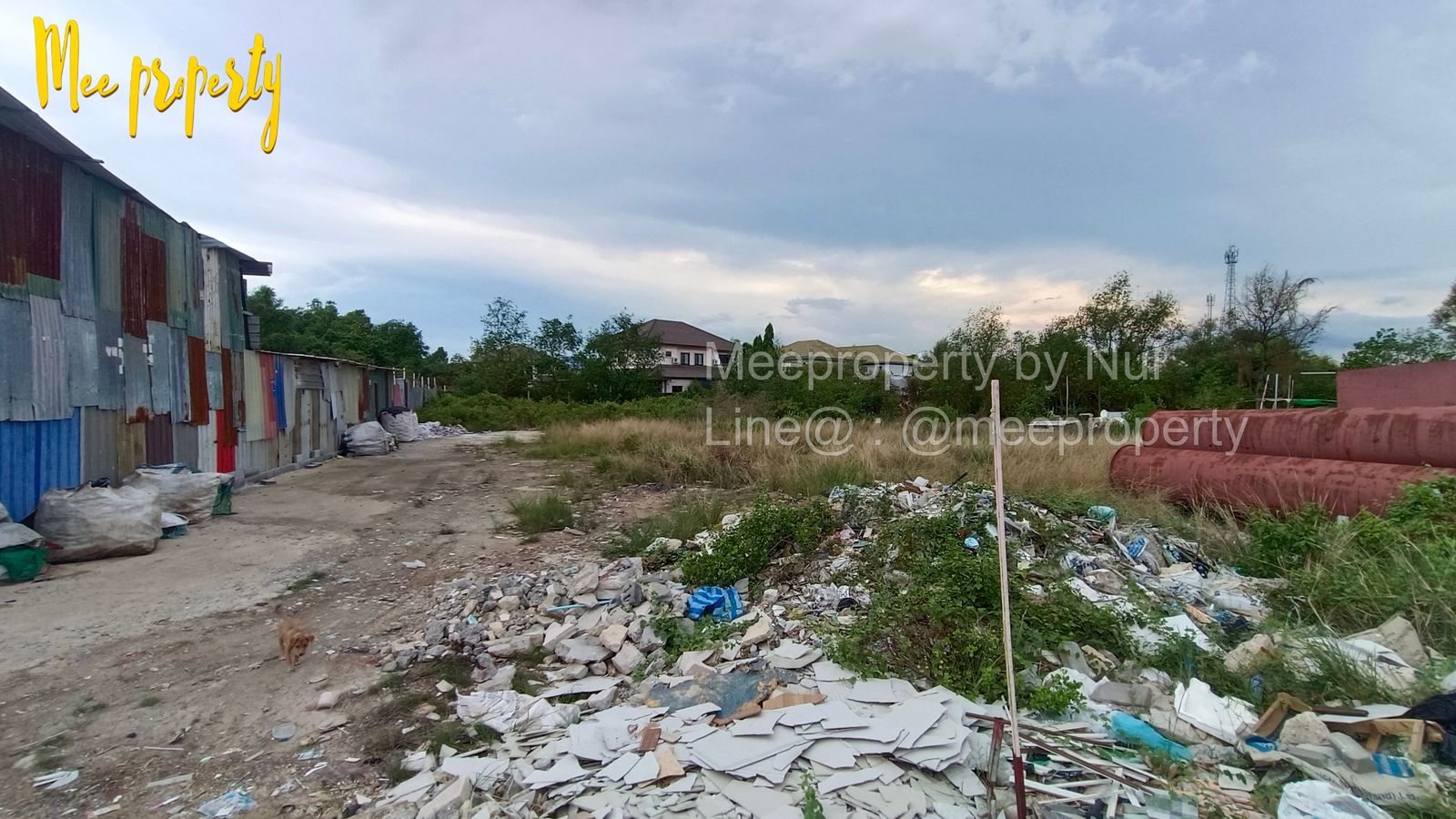 รูปภาพสินค้า