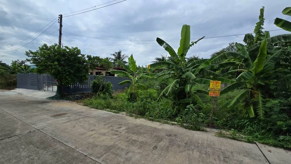 รูปภาพสินค้า