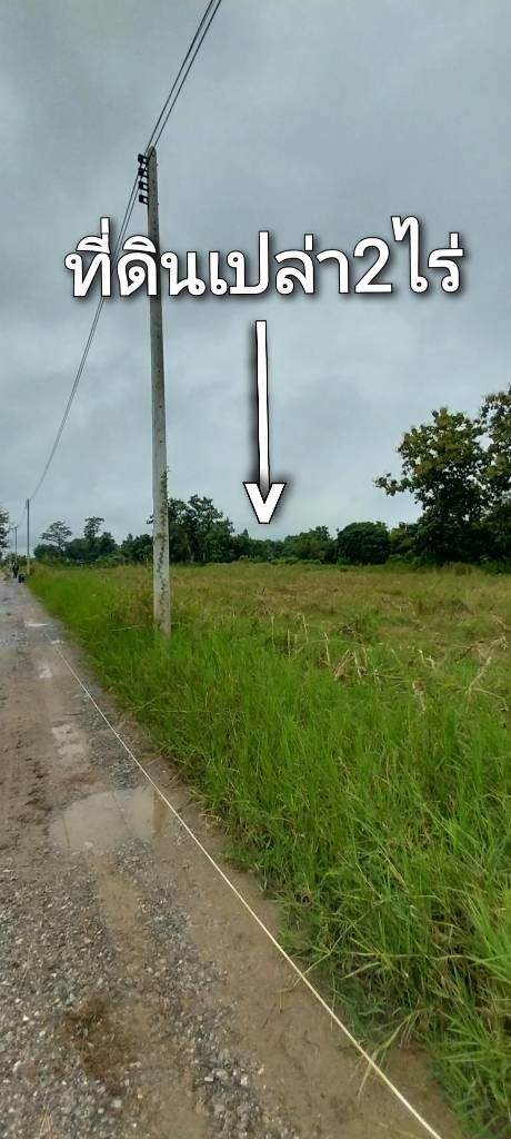 รูปภาพสินค้า