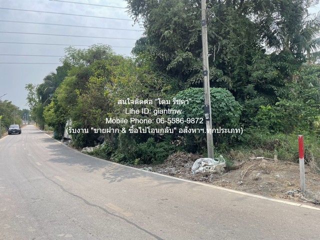 รูปภาพสินค้า