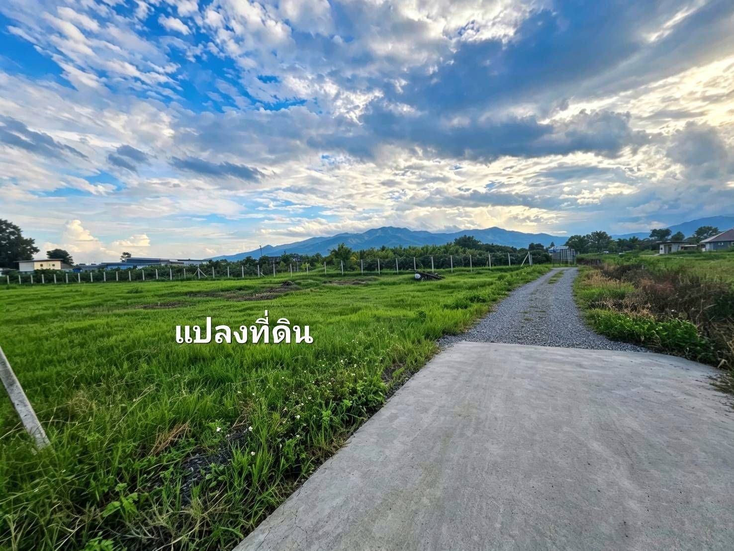 รูปภาพสินค้า