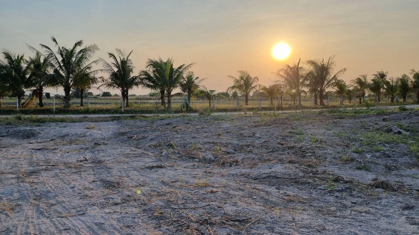 รูปภาพสินค้า