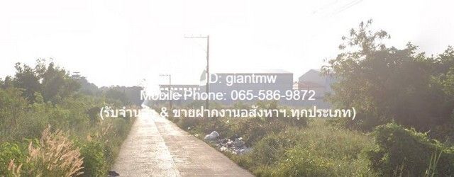 รูปภาพสินค้า