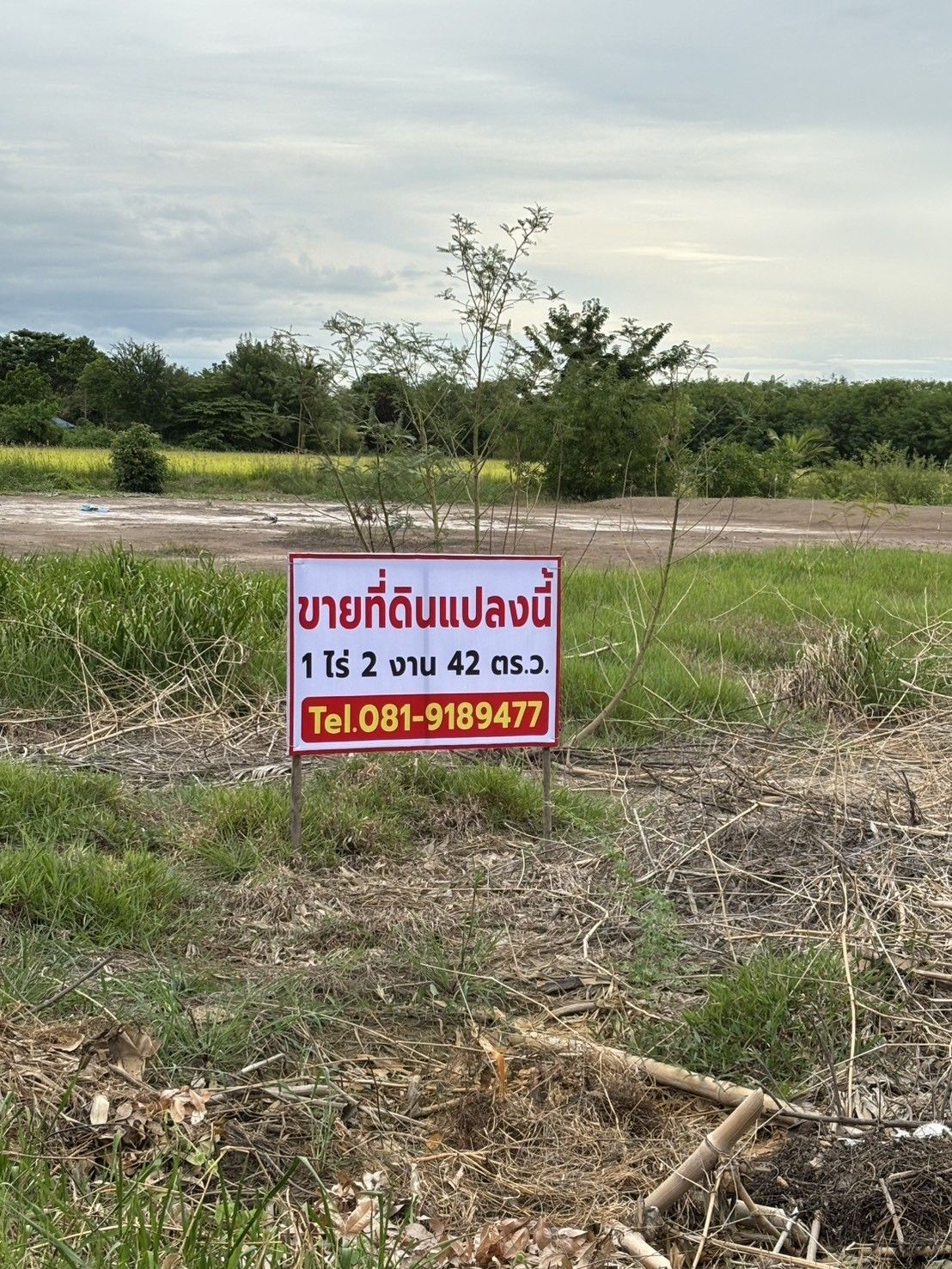 รูปภาพสินค้า