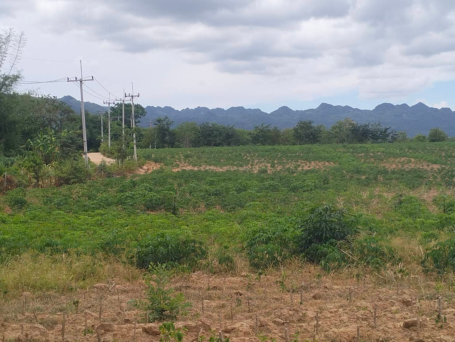 รูปภาพสินค้า