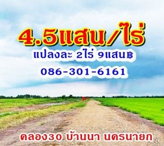 รูปภาพสินค้า