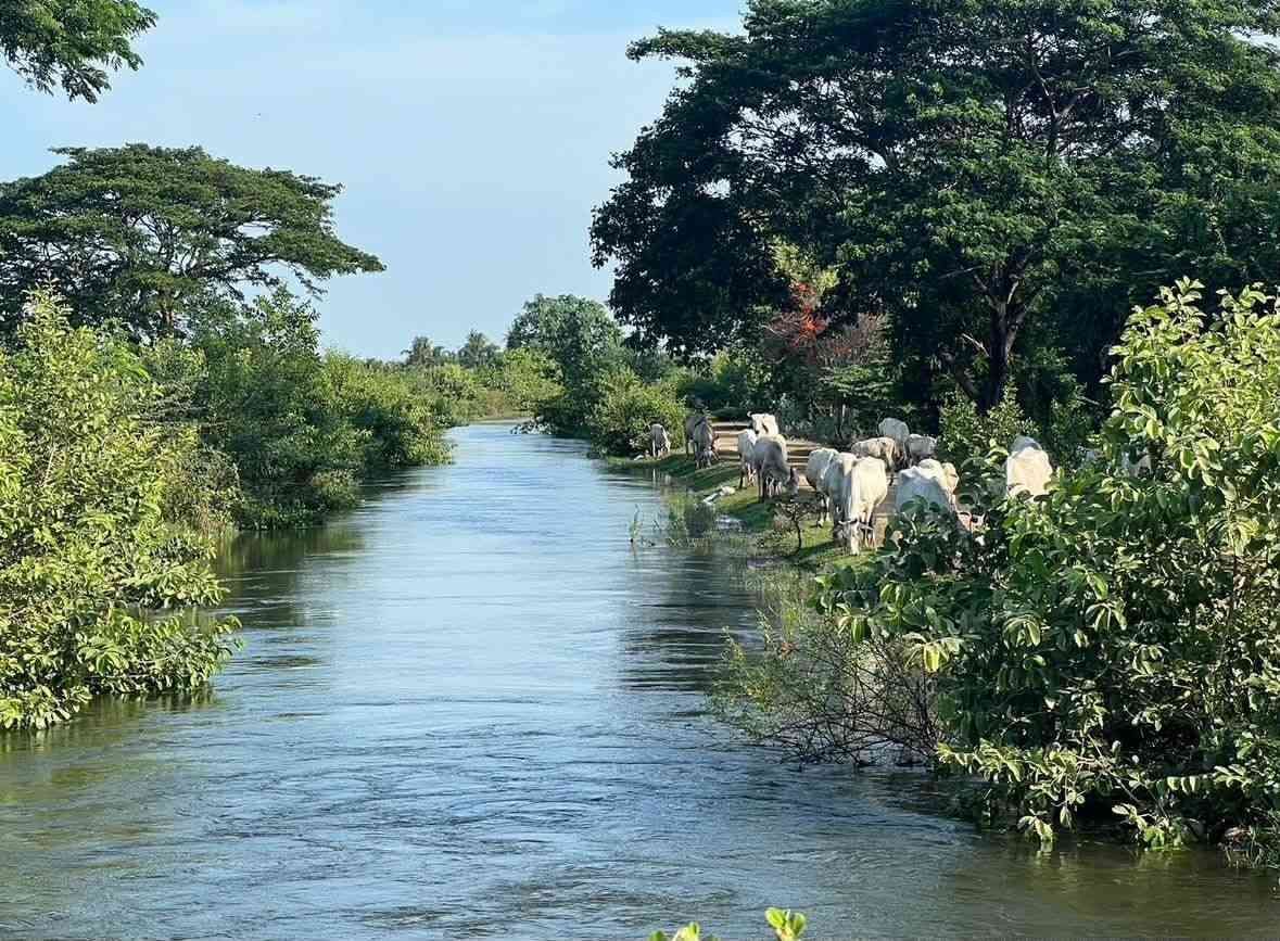 รูปภาพสินค้า