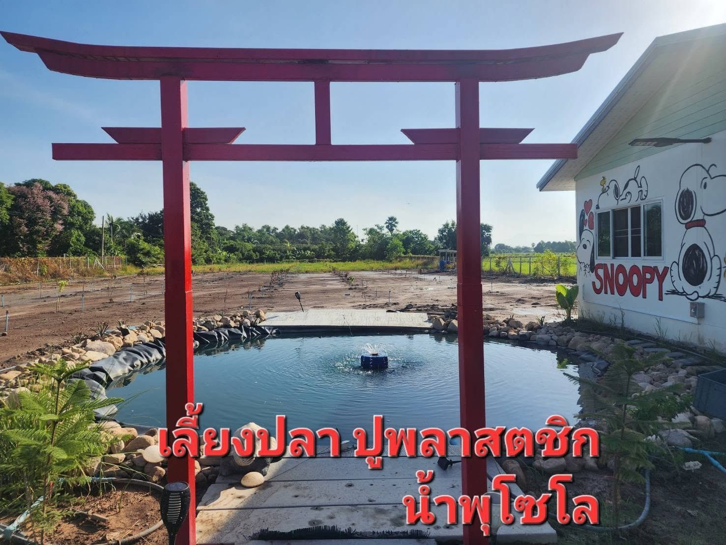 รูปภาพสินค้า