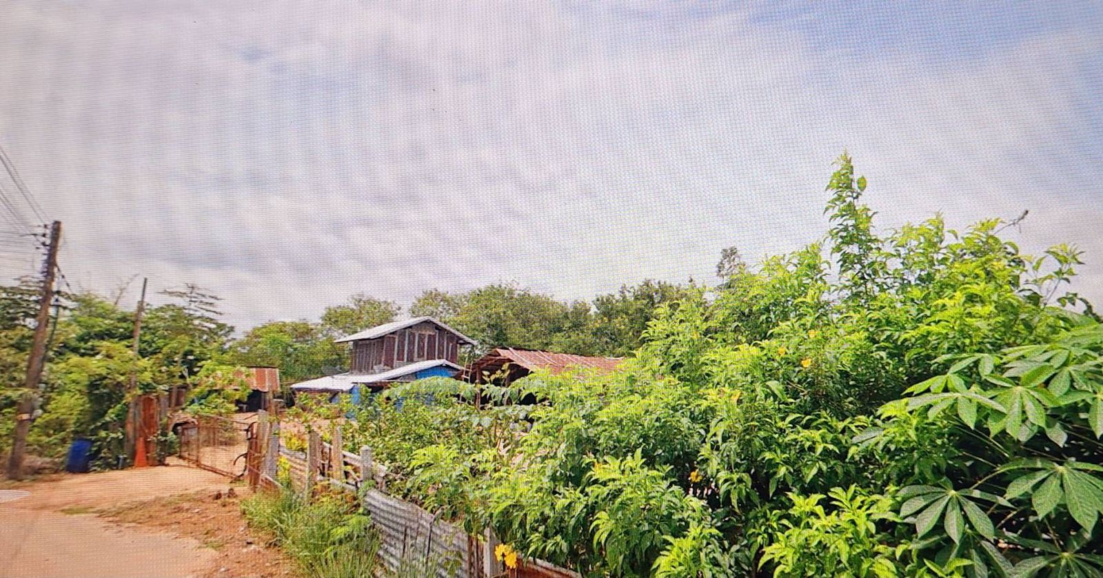 รูปภาพสินค้า