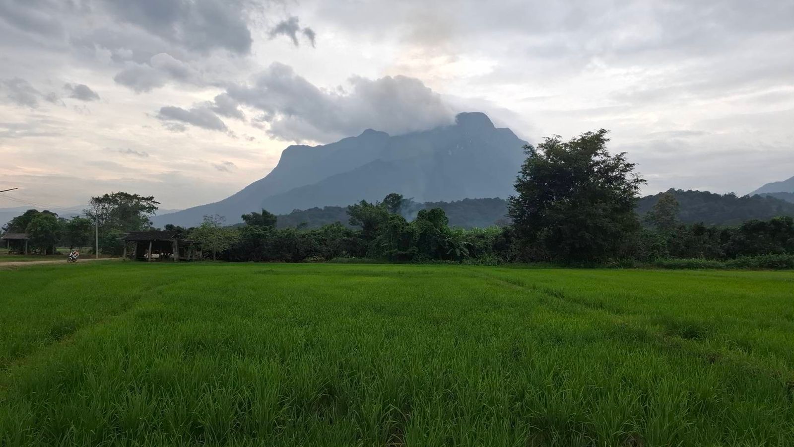 รูปภาพสินค้า